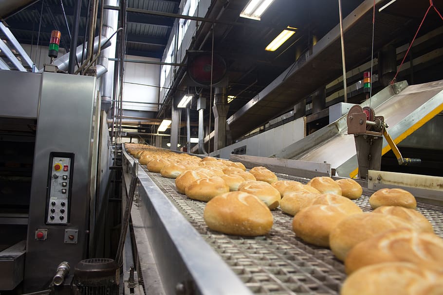 food machinery
