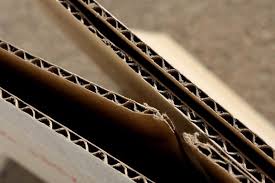 Paper and Cardboard Packaging